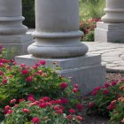 Tranquil garden path with pink roses and white columns in soft sunlight