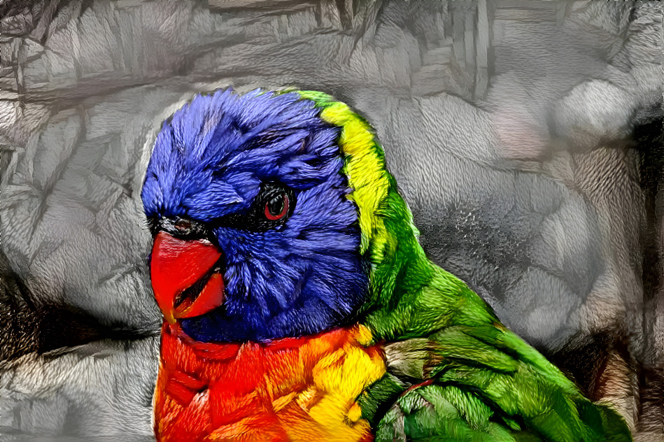 Rainbow parrot 