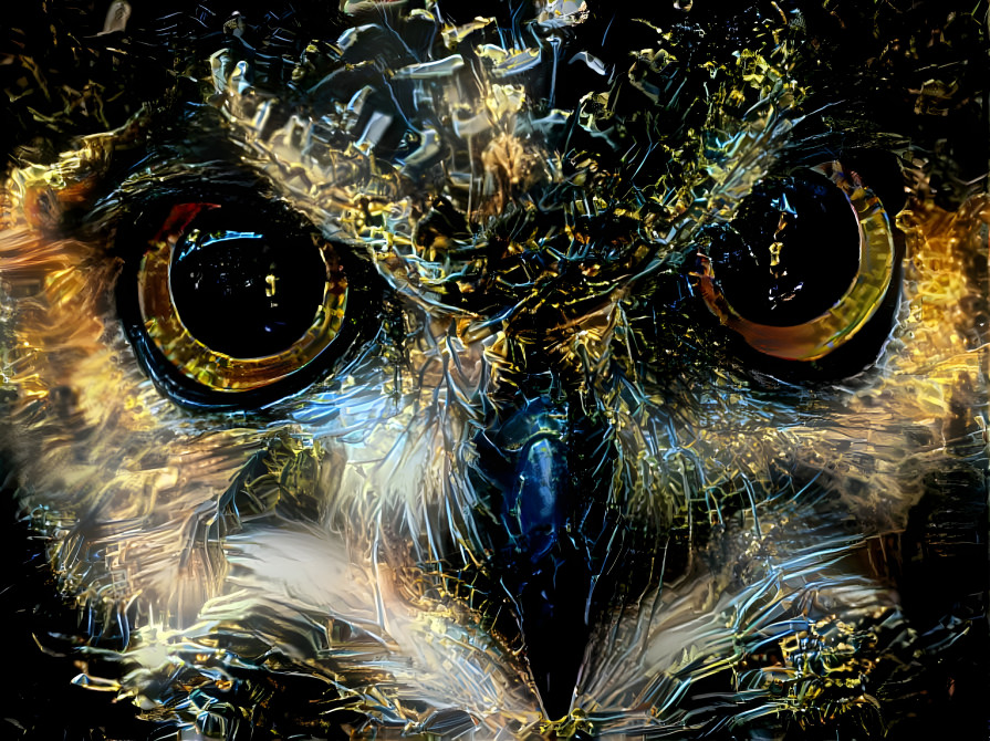 Owl XVI