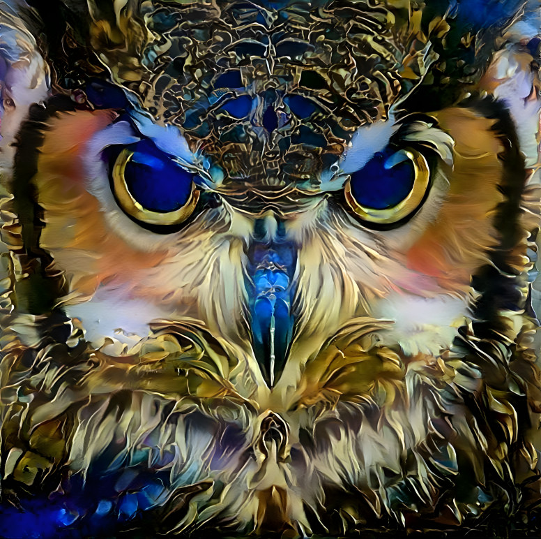 Elegant owl