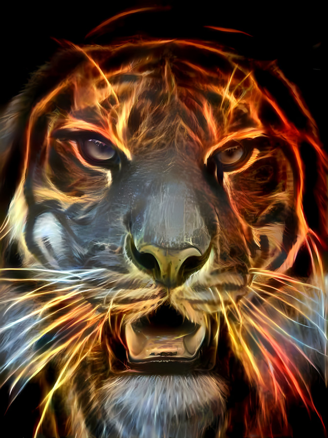 Tiger xxvii