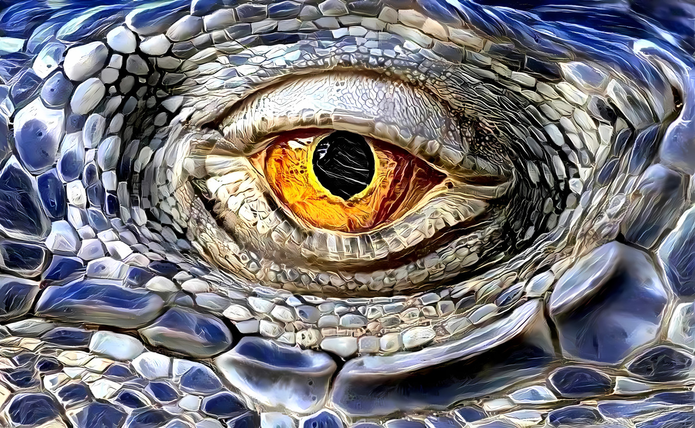 Do you ❤️LIKE❤️ my Reptilian-Eye ?  (hopefully❣️)