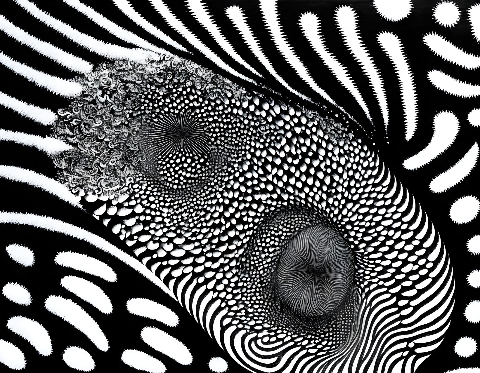 Amoeba fingerprint