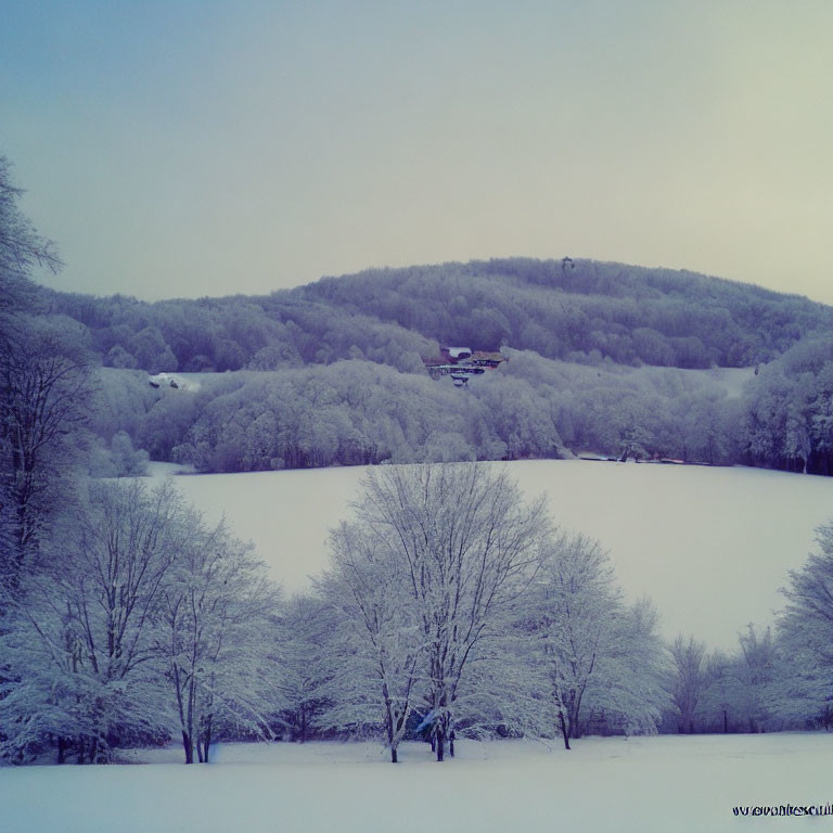 Snow-covered trees and serene winter scenery with distant building nestled in hills