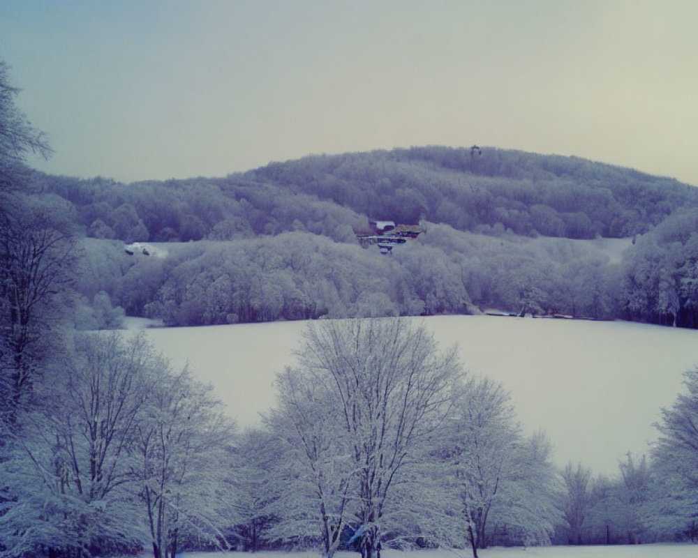 Snow-covered trees and serene winter scenery with distant building nestled in hills