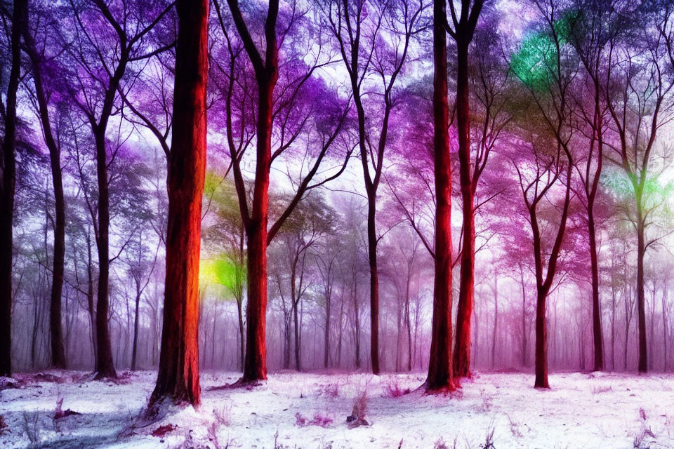 Colorful Forest with Purple and Pink Canopy, Snow-covered Ground