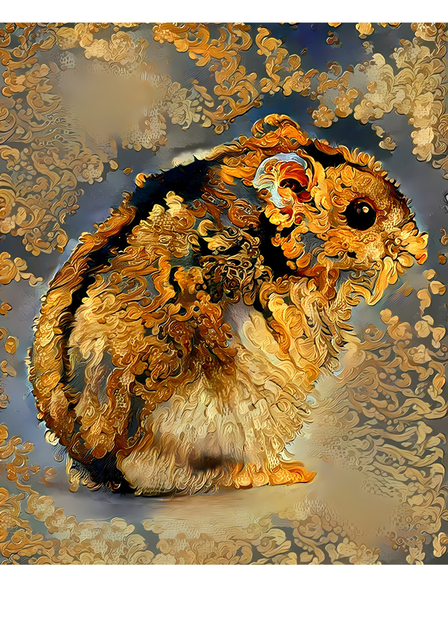 Golden dwarf hamster