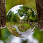 Colorful garden with flowers and bench seen through crystal ball in forest setting