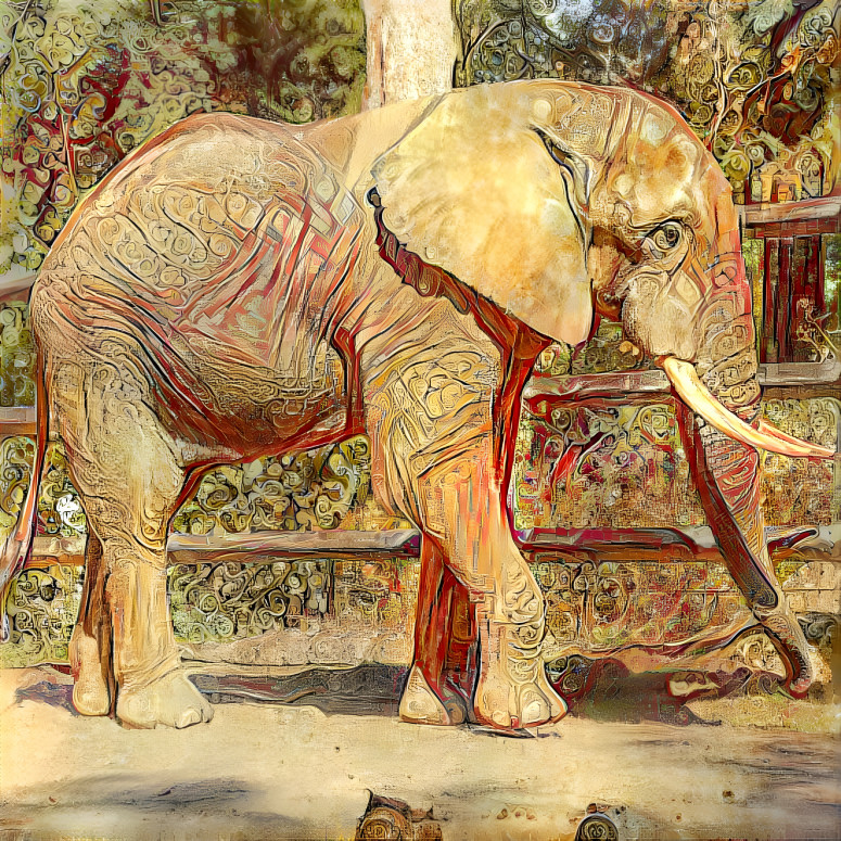 Elephant at the Zoo