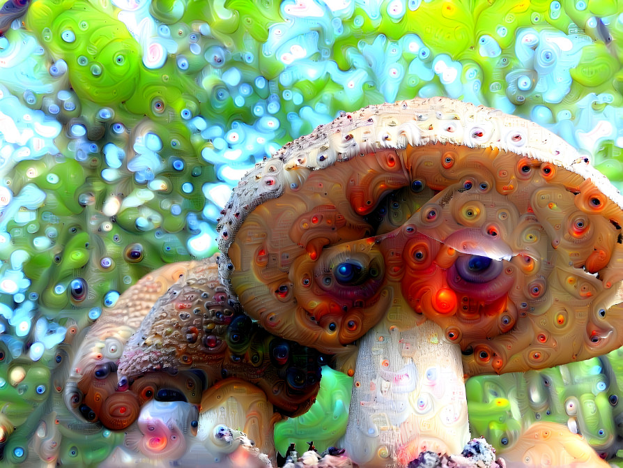 Shroomy mushrooms