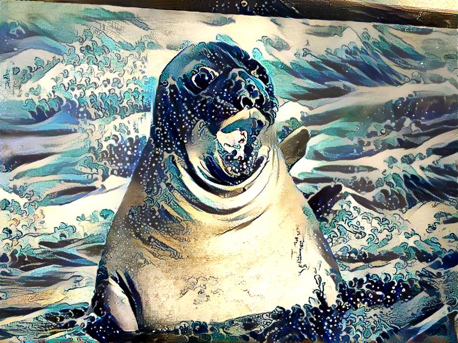 Sea Lion Says OOOOO