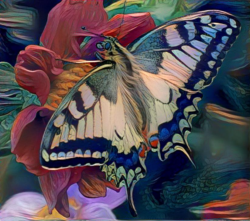 Swallowtail Beauty