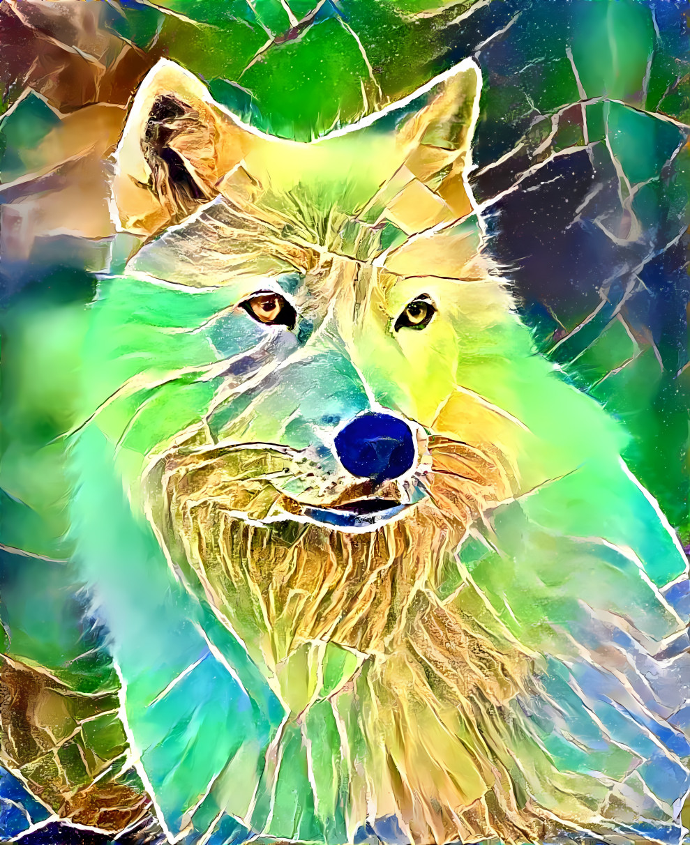 Colour wolf