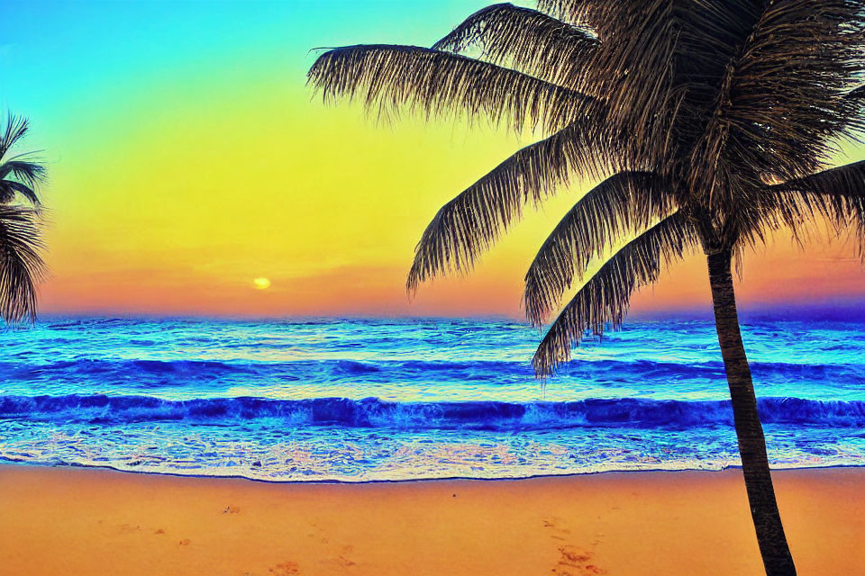 Colorful Sunset Beach Scene with Palm Tree Silhouette & Waves