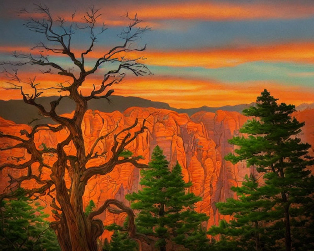 Vivid orange and red sunset over rugged canyon with silhouettes of trees