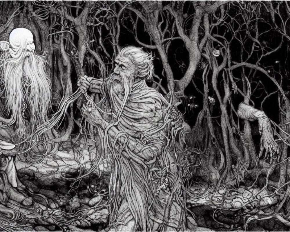 Elderly fantasy figures with glowing orb in dense forest landscape