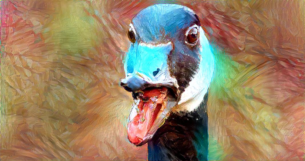 Aggressive goose