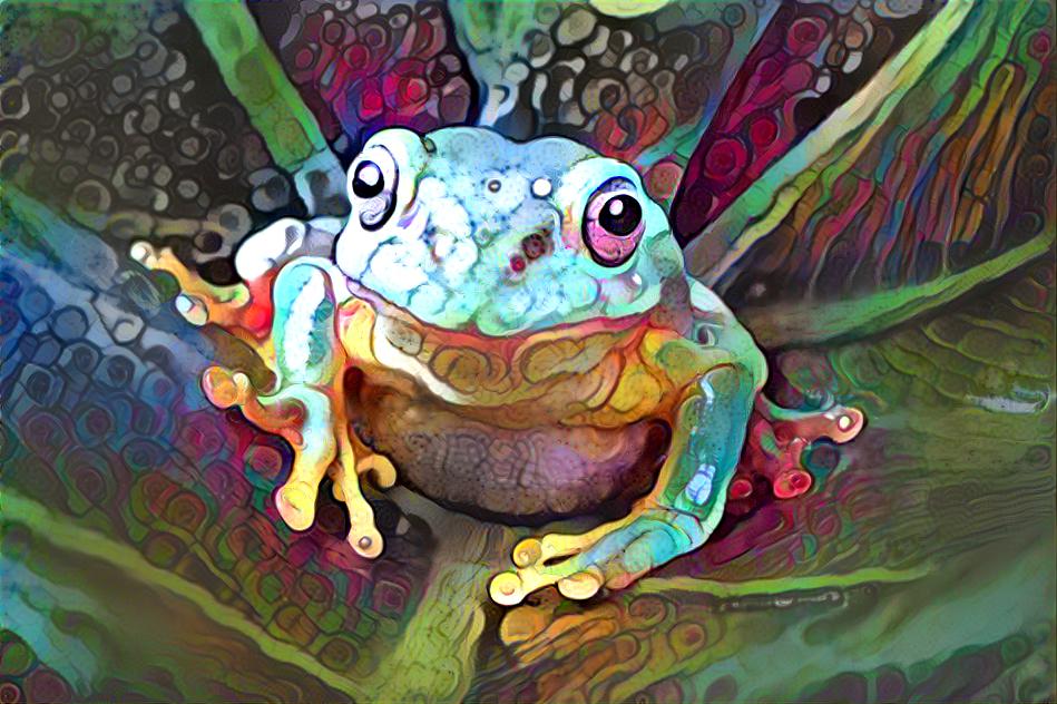 The Art of Frog (1)