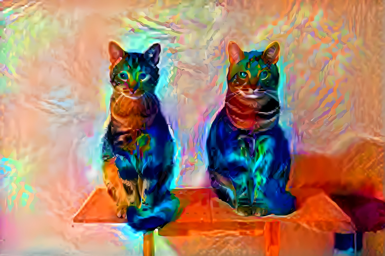colorful cats