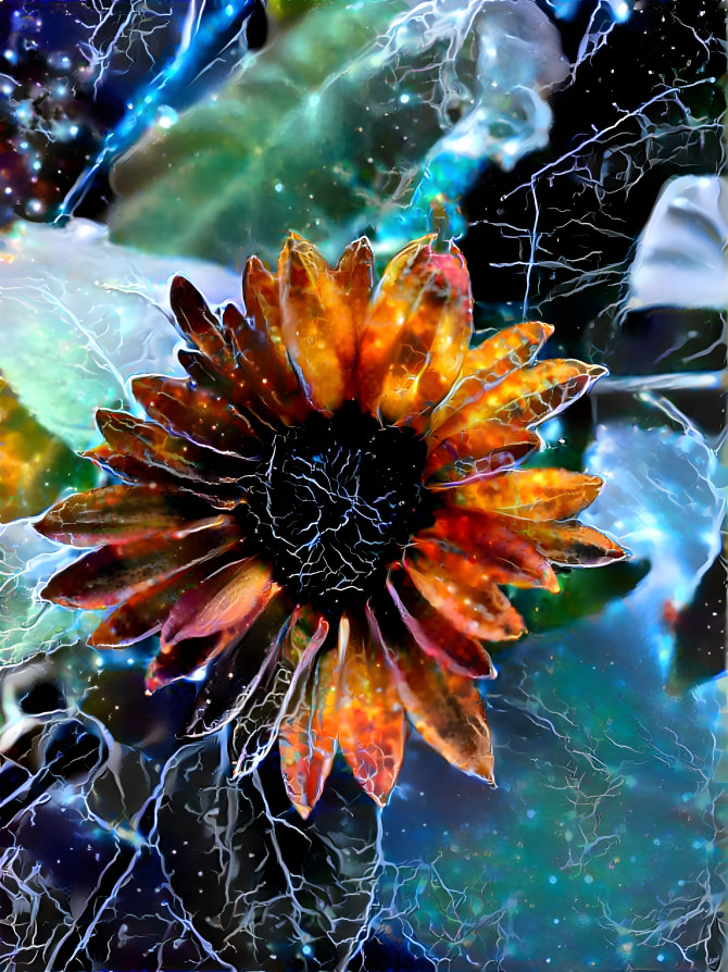 Cosmic Sunflower