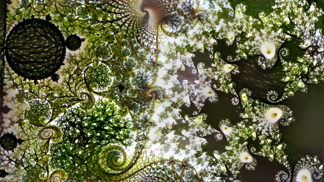 tree fractals