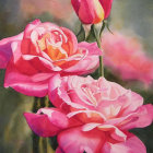 Vibrant pink roses in watercolor against textured grey background