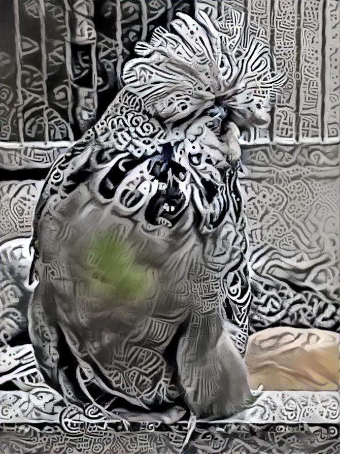 Budgie in grey