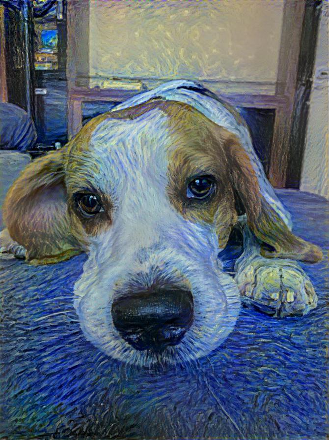 Beagle Gogh