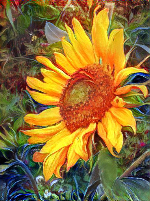 Sunflower 02