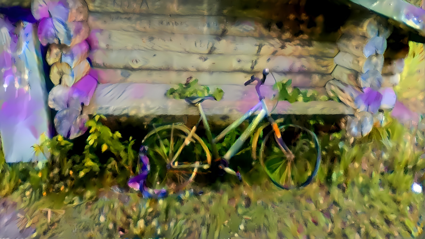 Lilac Bike again