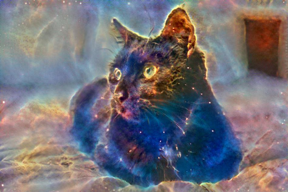 Galactic Cat