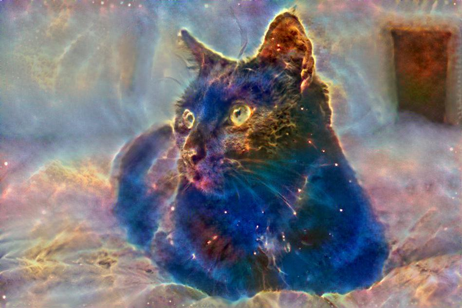 Intergalactic Cat