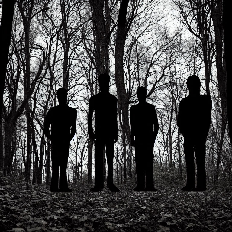 Four silhouettes in barren forest under bleak sky.