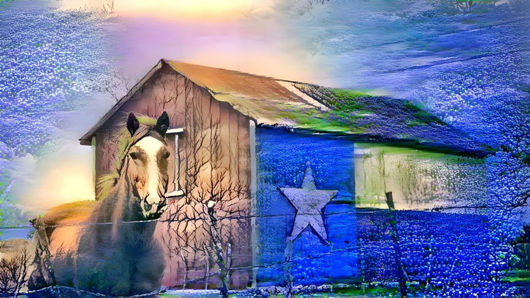 republic of TX