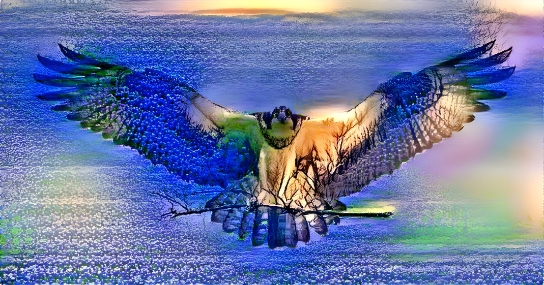 The blue bonnet falcon