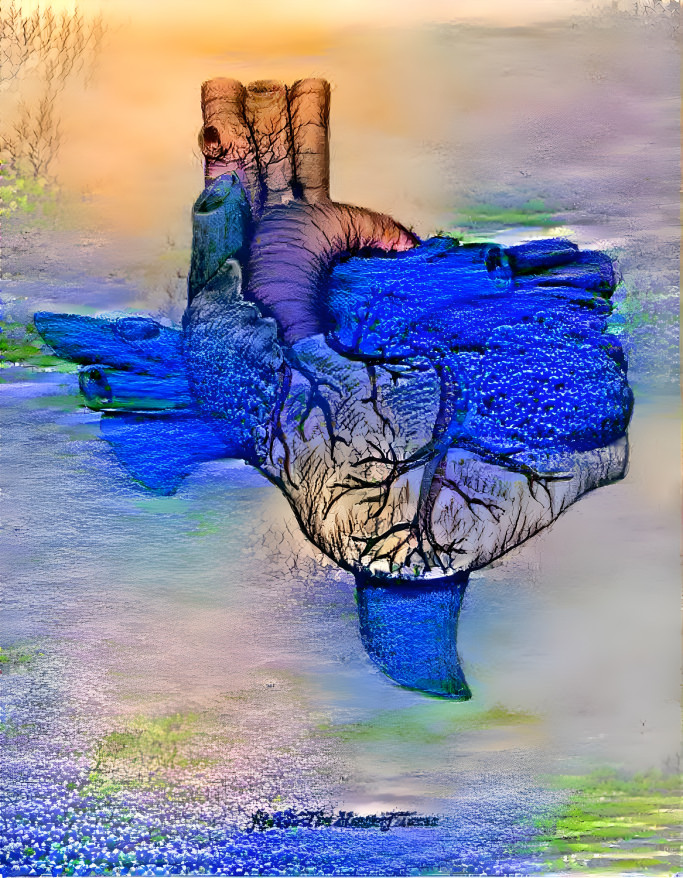 bluebonets of texas