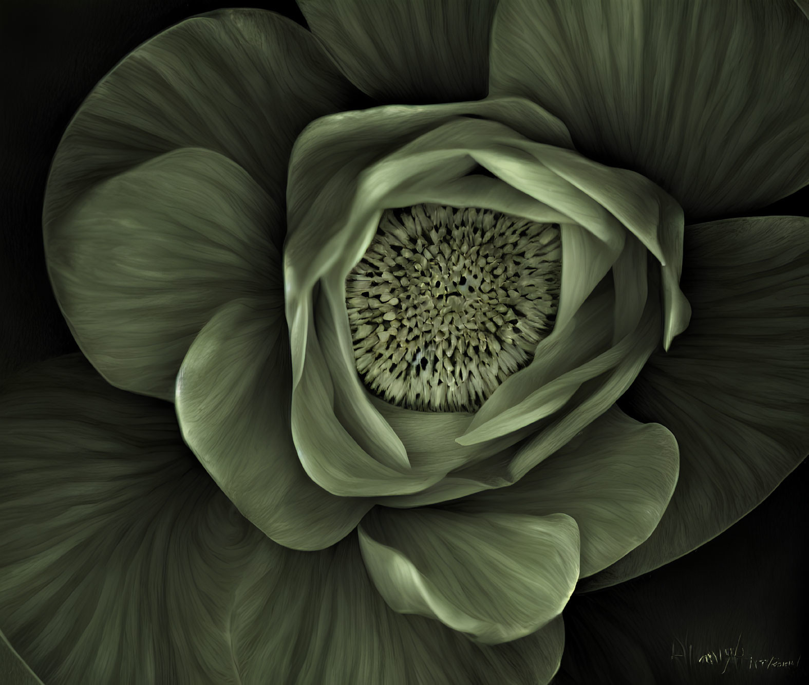 Greenish flower with layered petals and textured center resembling a sea anemone