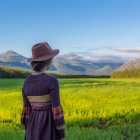 Person in wide-brimmed hat gazes at misty mountains in field