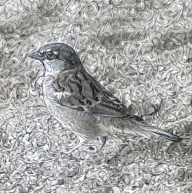 Patterned sparrow
