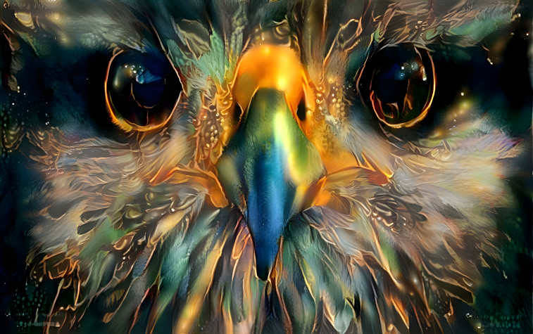 3D Hawk