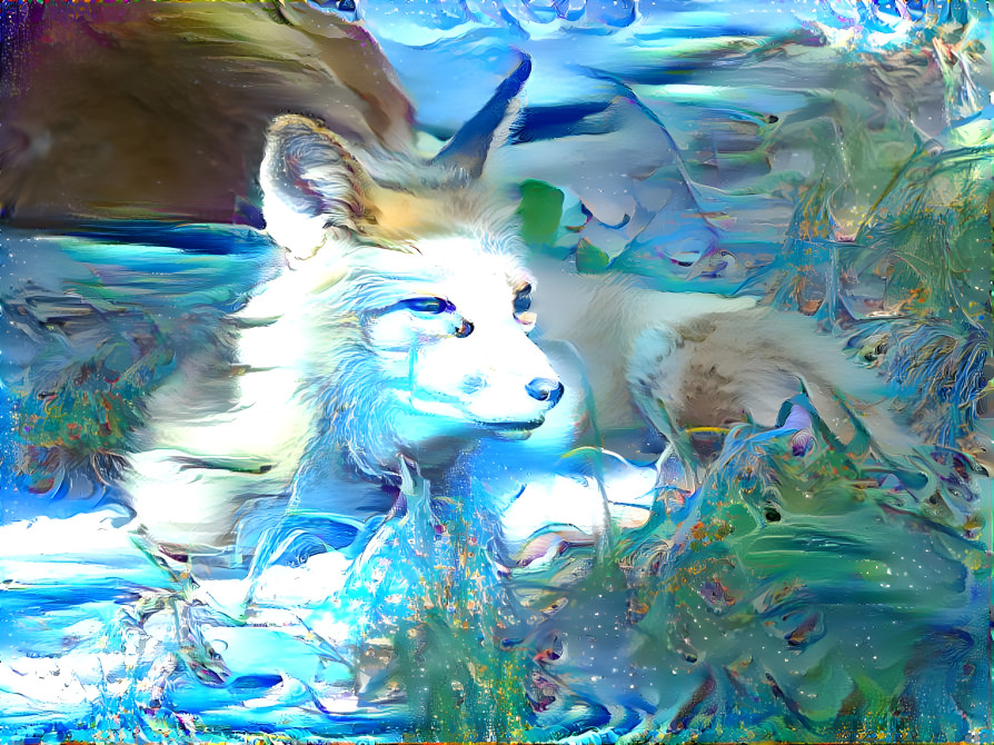 Snow fox ;)