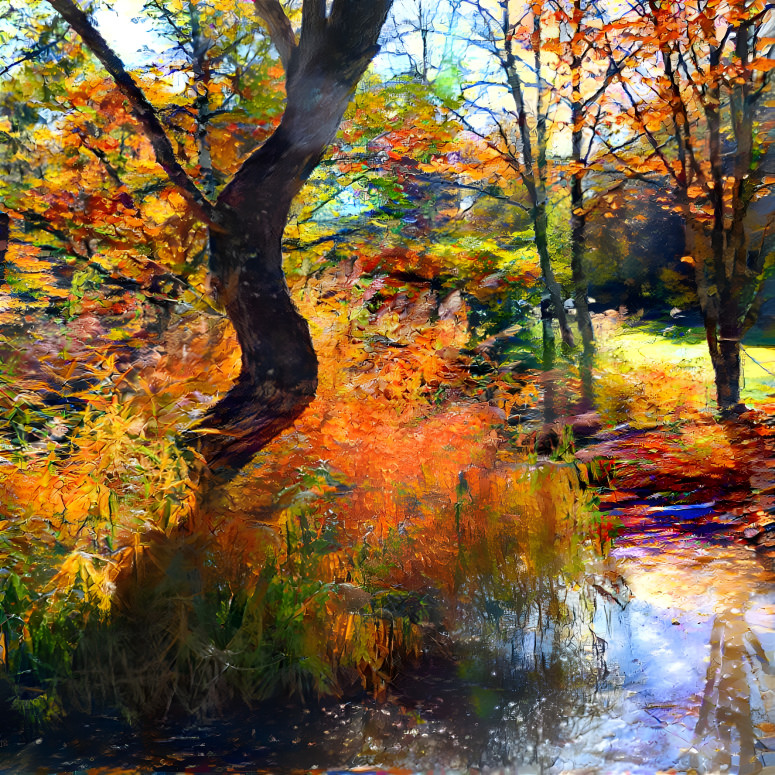 Pond in autumn
