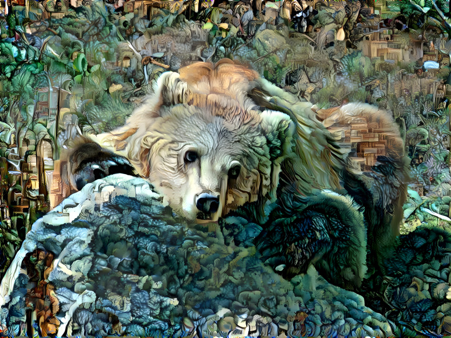 Bear, Zoo de Beauval