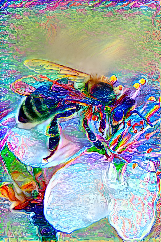 Rainbow Bee