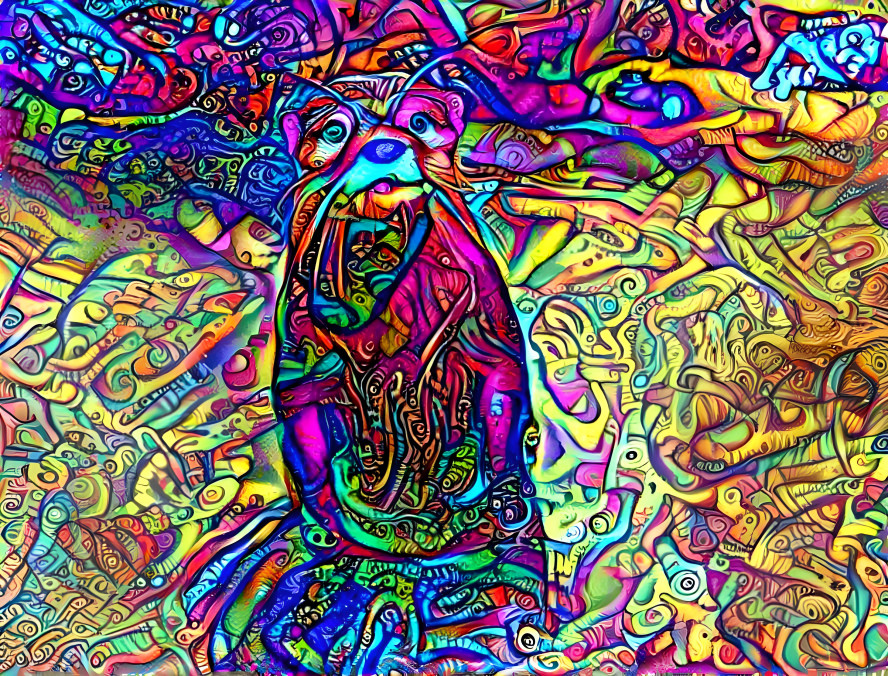 Rainbow Otter