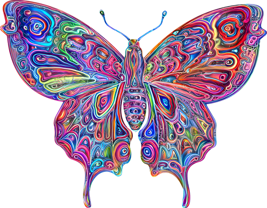 Trippy Butterfly