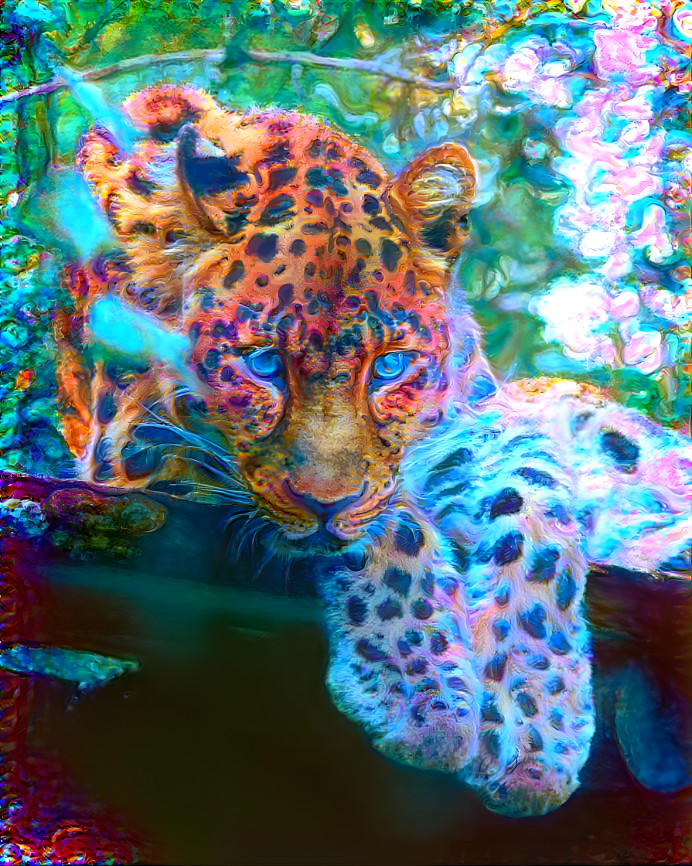 Dreamy Leopard