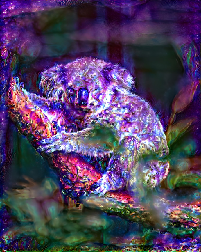 Celestial Koala