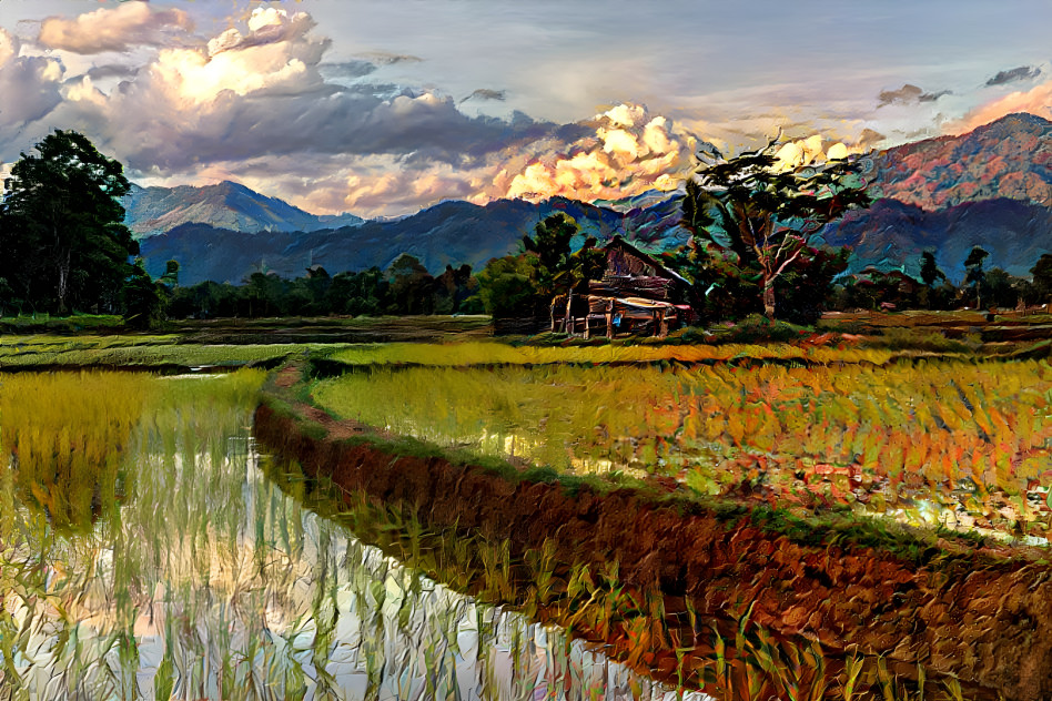 Reflection of a Dirt Road in Paddy Field