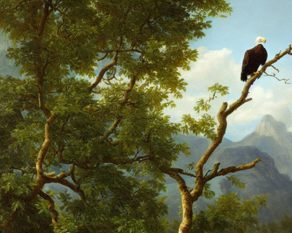 Majestic bald eagle on tree branch with mountain backdrop